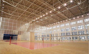 鋼構場館的起重機檢驗
